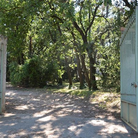 La Petite Sardine Bed & Breakfast Lirac Екстериор снимка